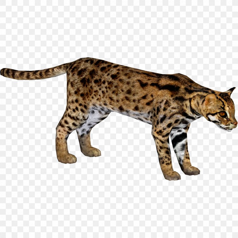 Bengal Cat California Spangled Ocicat Felidae African Leopard, PNG, 1304x1304px, Bengal Cat, African Leopard, Animal, Bengal, Big Cats Download Free