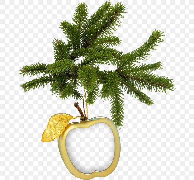 Fir Christmas Tree Spruce Pine, PNG, 670x759px, Fir, Artificial Christmas Tree, Branch, Christmas, Christmas Decoration Download Free