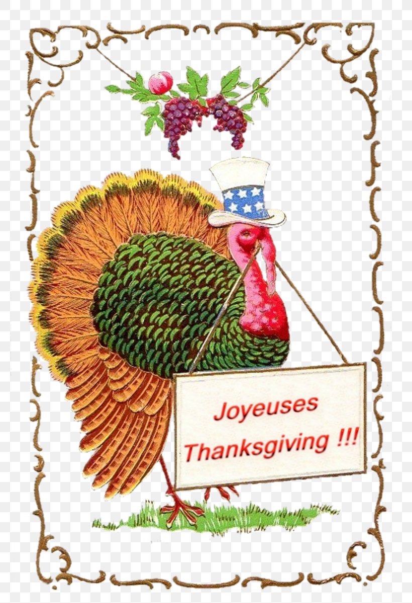 Shoots, Roots And Leaves Thanksgiving Harvest Festival Post Cards Rooster, PNG, 800x1201px, Thanksgiving, Art, Beak, Chicken, Craft Download Free