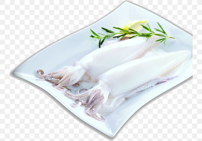 Squid As Food Fish Seafood, PNG, 744x570px, Squid, Animal Source Foods, Company, Dishware, Encornet Download Free