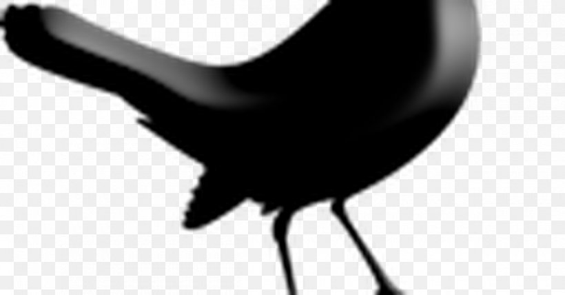 TweetDeck Seesmic Twhirl Facebook Blog, PNG, 1200x627px, Tweetdeck, Beak, Bird, Black And White, Blog Download Free