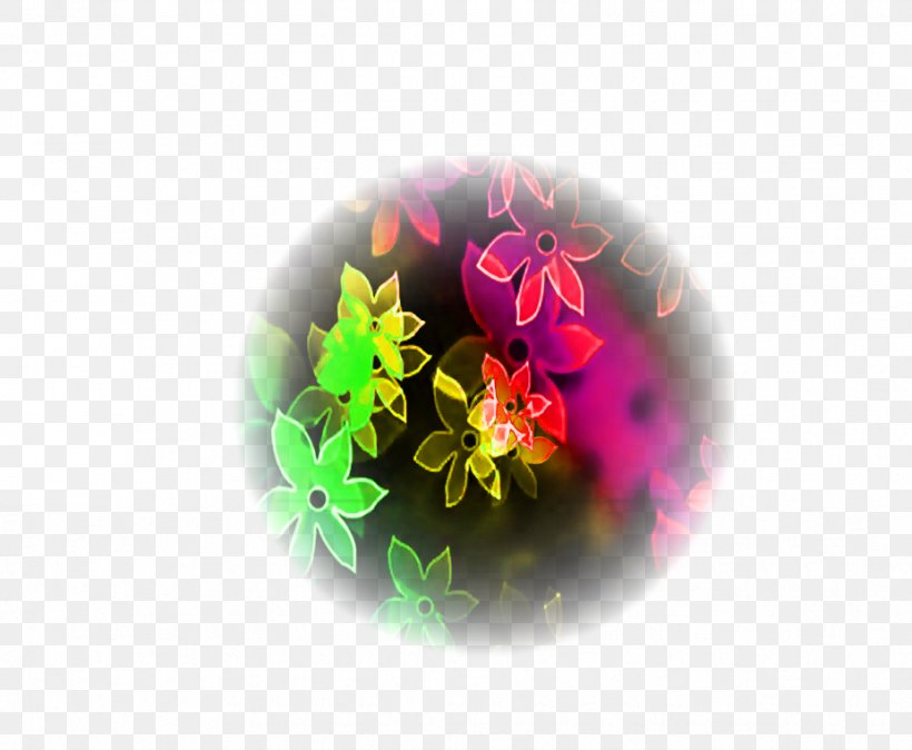 YouTube Plant Flower Magenta Desktop Wallpaper, PNG, 927x763px, Youtube, Computer, December 13, Email, Flora Download Free