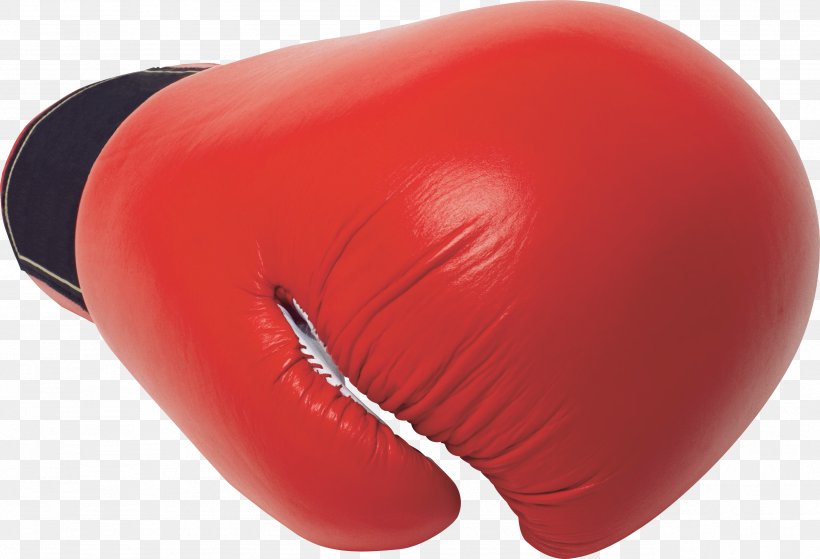 Boxing Glove Sport Punching & Training Bags, PNG, 2563x1750px, Boxing Glove, Boxing, Boxing Equipment, Everlast, Glove Download Free