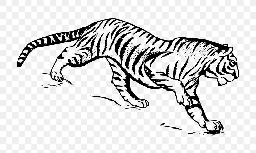 Cat Drawing Siberian Tiger, PNG, 800x490px, Cat, Animal Figure, Artwork, Big Cats, Black And White Download Free