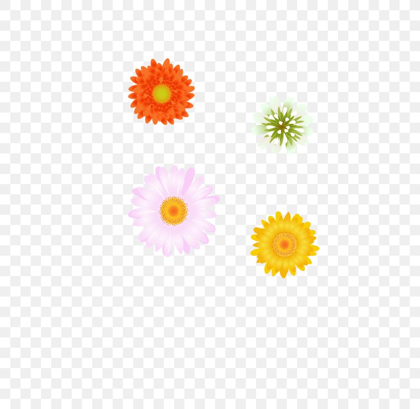 Dahlia Floral Design Yellow Transvaal Daisy Pattern, PNG, 800x800px, Dahlia, Chrysanthemum, Chrysanths, Daisy Family, Floral Design Download Free