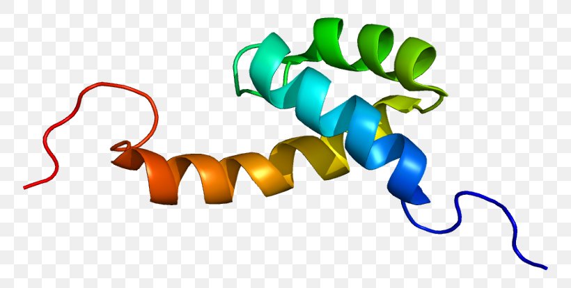 DNA-binding Protein Transcription HOPX Gene, PNG, 804x414px, Dna, Animal Figure, Area, Artwork, Cell Download Free