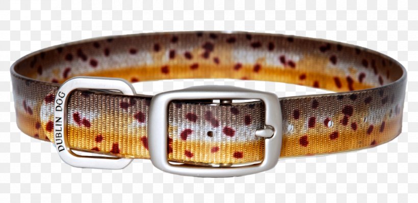 Dog Collar Leash Bulldog Brown Trout, PNG, 980x477px, Dog Collar, Bangle, Body Jewelry, Bracelet, Brook Trout Download Free