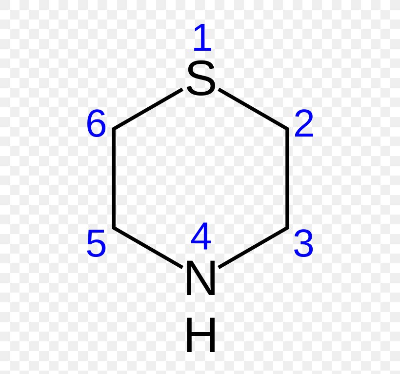 Ether Morpholine Piperidine Heterocyclic Compound Amine, PNG, 556x767px, Ether, Acid, Amine, Area, Base Download Free