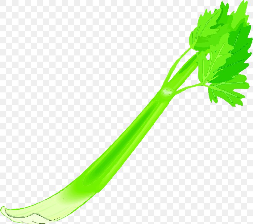 Photography Celeriac Clip Art, PNG, 818x727px, Photography, Animation, Celeriac, Celery, Food Download Free
