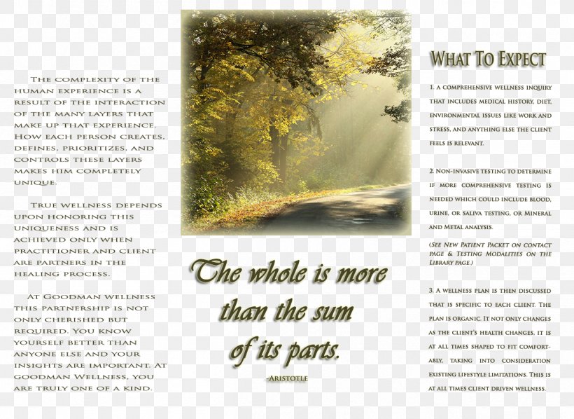 Tree Brochure, PNG, 1254x916px, Tree, Advertising, Brand, Brochure, Grass Download Free