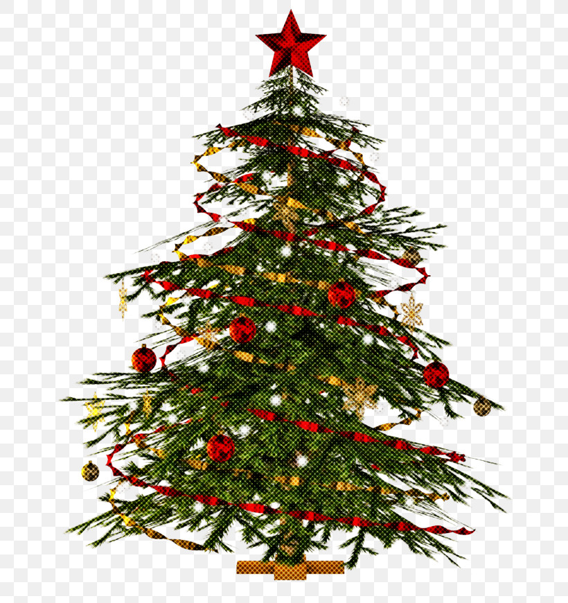 Christmas Tree, PNG, 728x870px, Christmas Tree, American Larch, Balsam Fir, Branch, Christmas Download Free