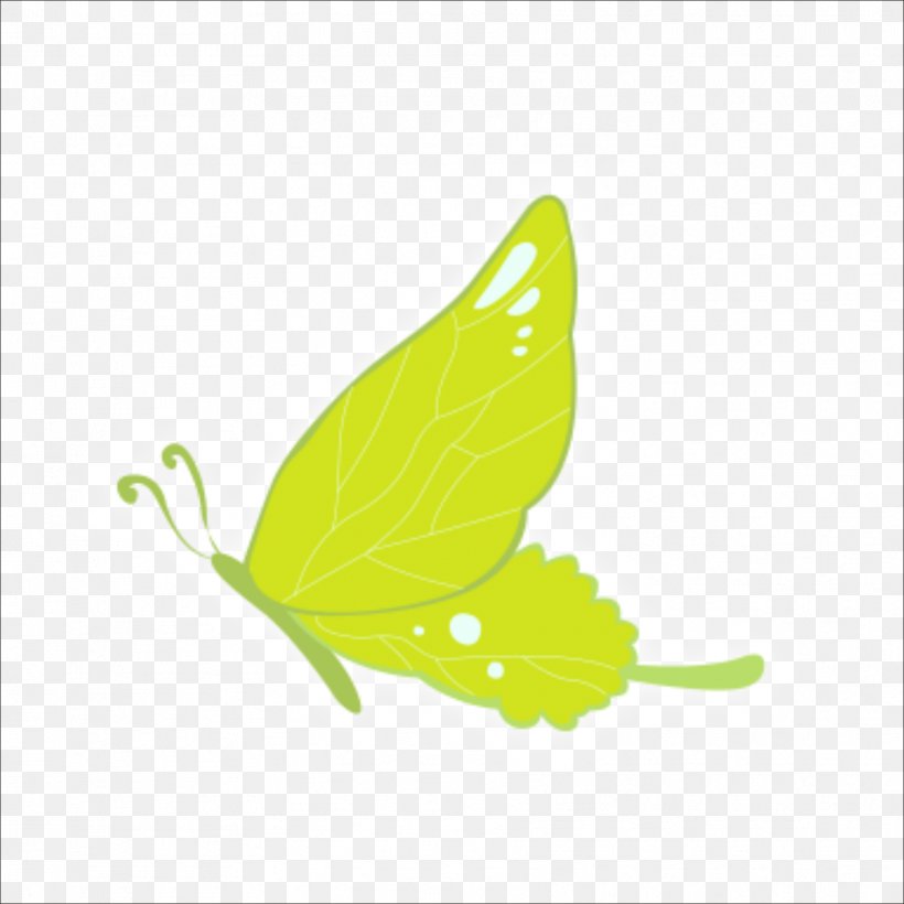 Green, PNG, 1773x1773px, Green, Art, Butterfly, Chartreuse, Grass Download Free