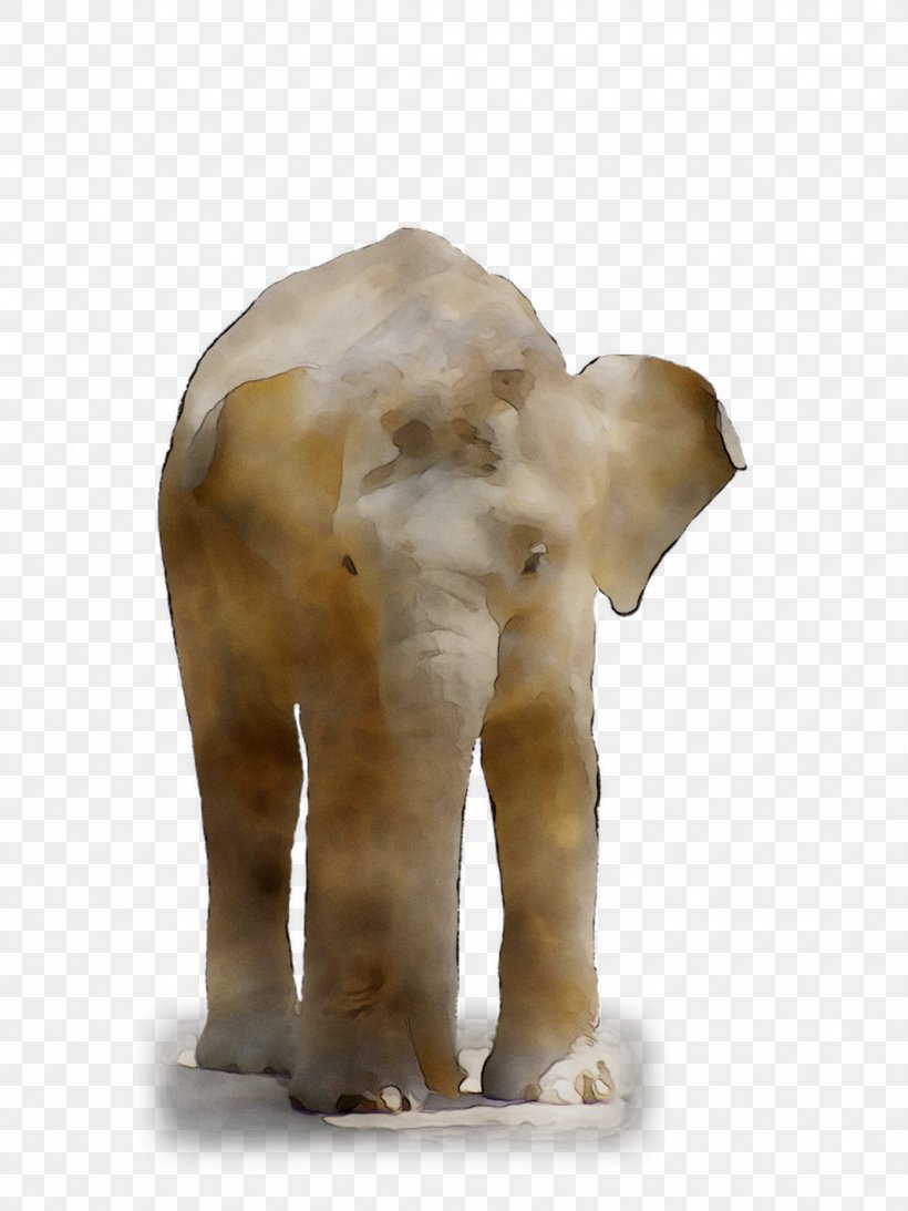 Indian Elephant African Elephant Fauna Terrestrial Animal, PNG, 1071x1428px, Indian Elephant, African Elephant, Animal, Animal Figure, Curtiss C46 Commando Download Free