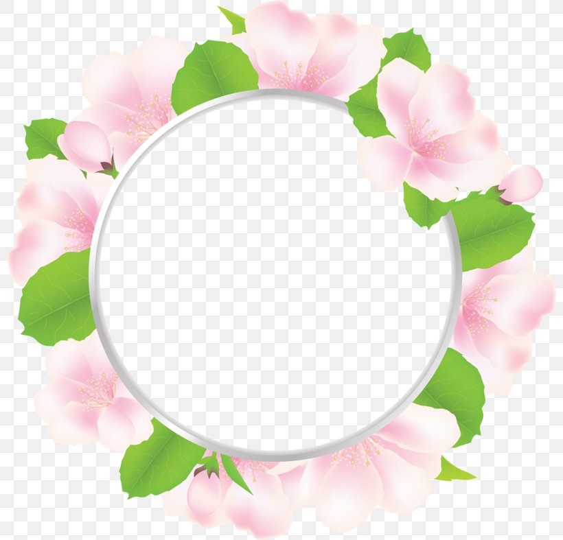 Flower Royalty-free, PNG, 800x787px, Flower, Apple, Blossom, Digital Image, Floral Design Download Free