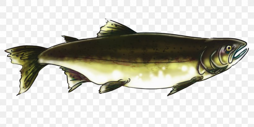 Mouth Cartoon, PNG, 1200x600px, Sardine, Bonyfish, Catfish, Cod, Fin Download Free