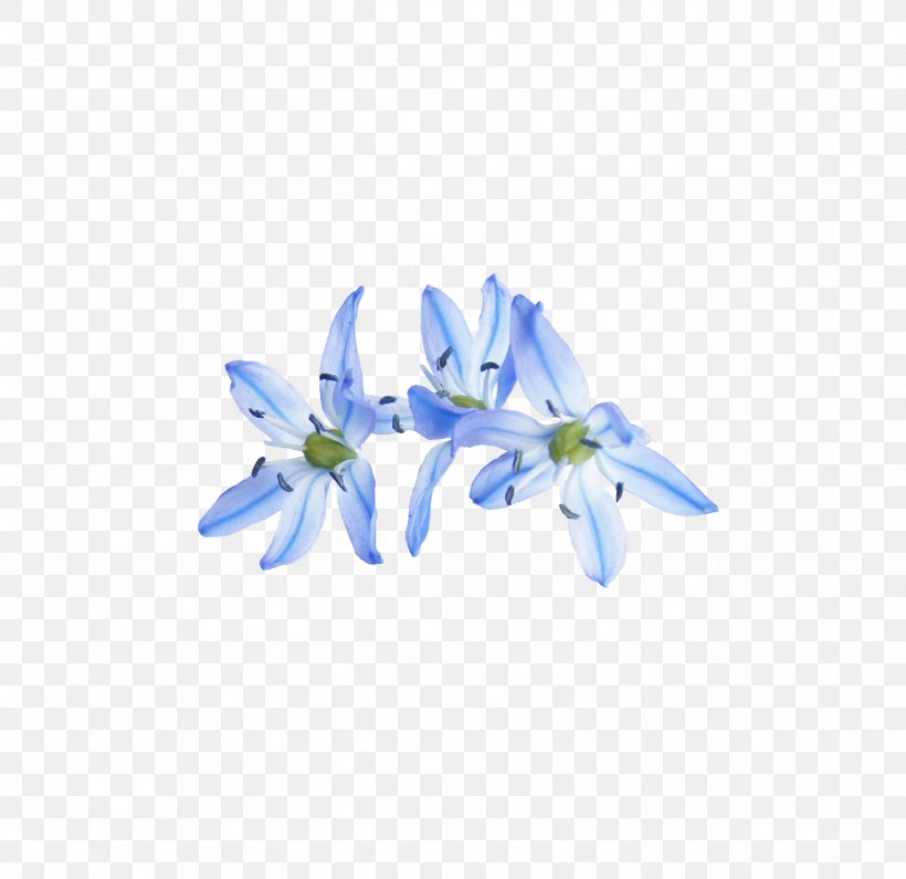 Petal Cut Flowers Bellflowers, PNG, 2597x2519px, Petal, Bellflower Family, Bellflowers, Blue, Cut Flowers Download Free