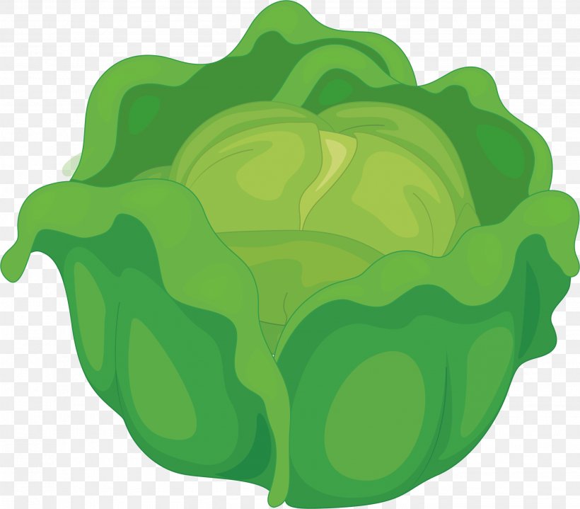 Cabbage Vegetable Computer File, PNG, 2728x2393px, Cabbage, Brassica Oleracea, Food, Fruit, Google Images Download Free