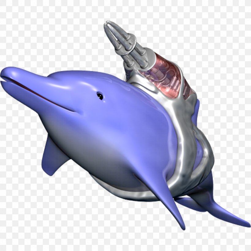 Common Bottlenose Dolphin Tucuxi Short-beaked Common Dolphin Wholphin, PNG, 1024x1024px, Common Bottlenose Dolphin, Beak, Bottlenose Dolphin, Cobalt Blue, Dingo Games Download Free