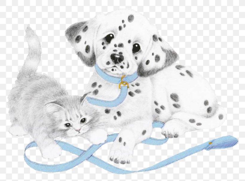 Dalmatian Dog Puppy Kitten Dog Breed Cat, PNG, 813x605px, Dalmatian Dog, Animal Figure, Carnivoran, Cat, Cat Like Mammal Download Free