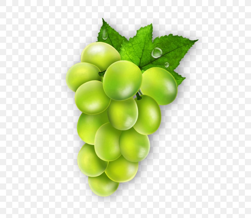 Grape Leaves Seedless Fruit PDF, PNG, 600x713px, 2017, Grape, Bidezidor Kirol, Camping, Food Download Free