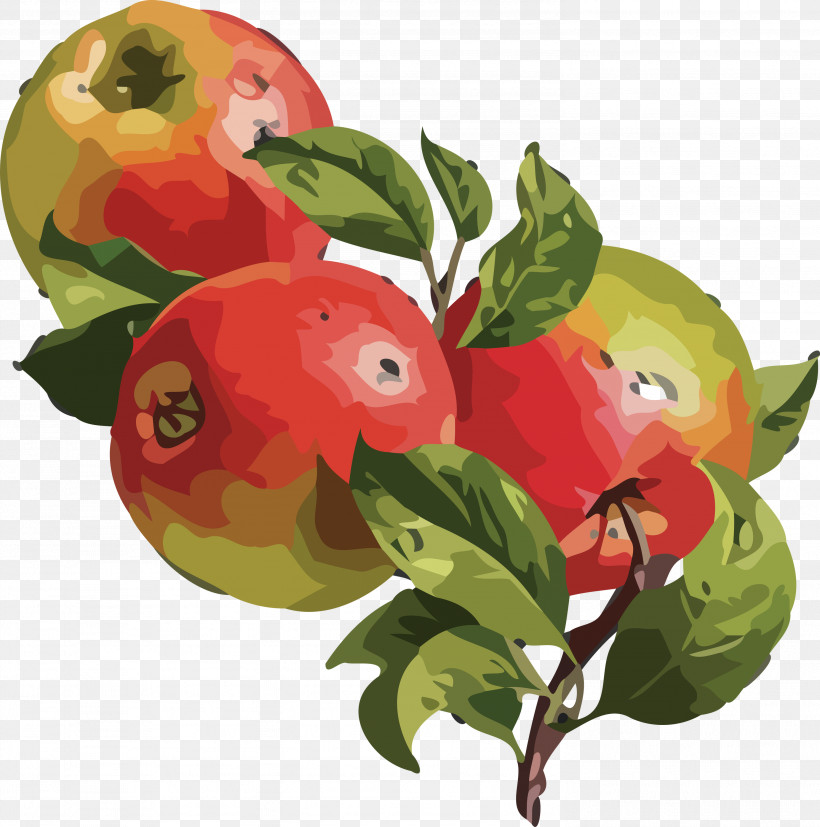 Natural Food Local Food Vegetable Plant, PNG, 2973x3000px, Watercolor Flower, Apple, Biology, Citrus, Local Food Download Free
