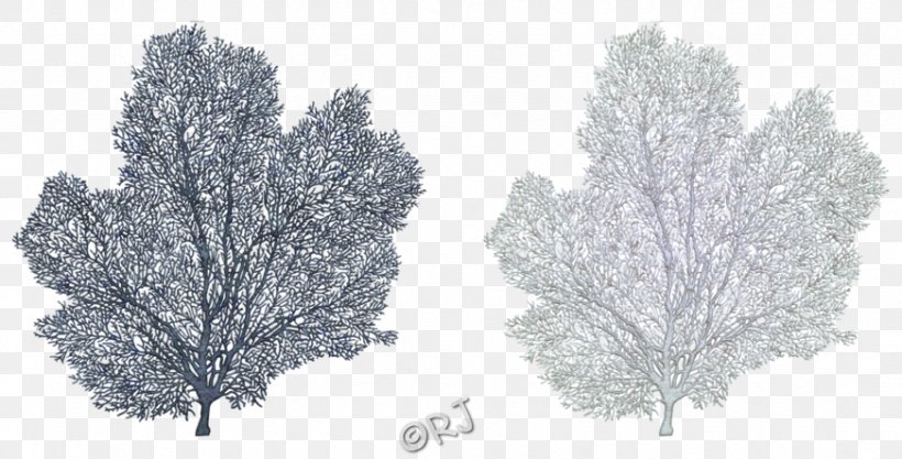 Pine Wicca Sport Theatrical Property Paganism, PNG, 872x444px, Pine, Black And White, Branch, Freezing, Frost Download Free