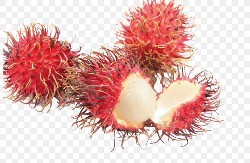 Rambutan Annatto, PNG, 800x534px, Rambutan, Annatto, Food, Fruit, Plant Download Free