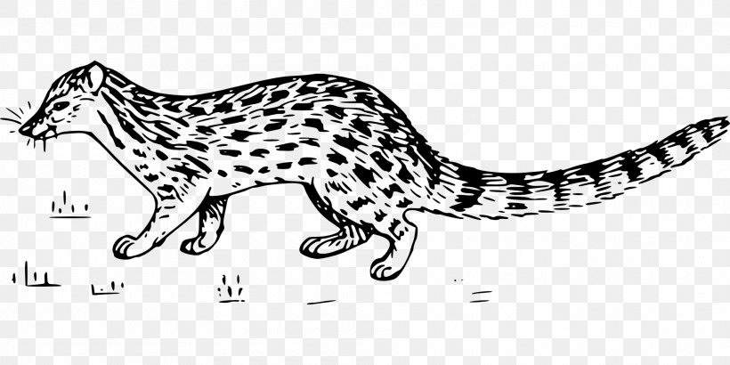 Whiskers Wildcat Cheetah Leopard, PNG, 1920x960px, Whiskers, Animal Figure, Big Cats, Black And White, Canidae Download Free