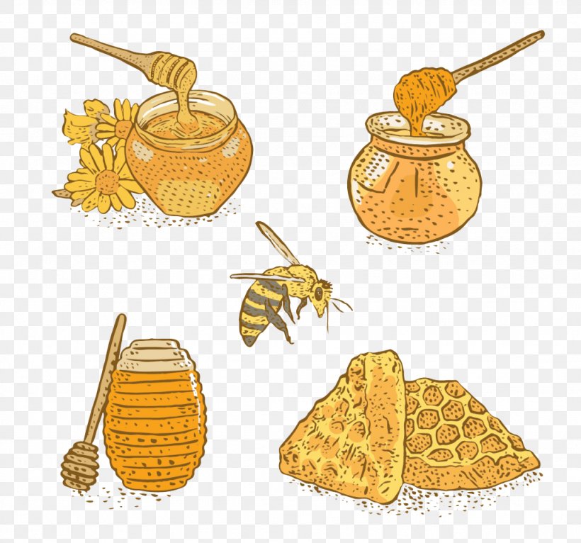 Bee Honey Sugar Download, PNG, 1024x957px, Bee, Beehive, Commodity, Drawing, Food Download Free