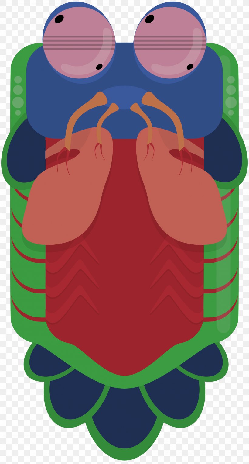 Concept Art Mantis Shrimp Nautilidae, PNG, 2000x3723px, Art, Anglerfish, Animal, Concept Art, Eyewear Download Free