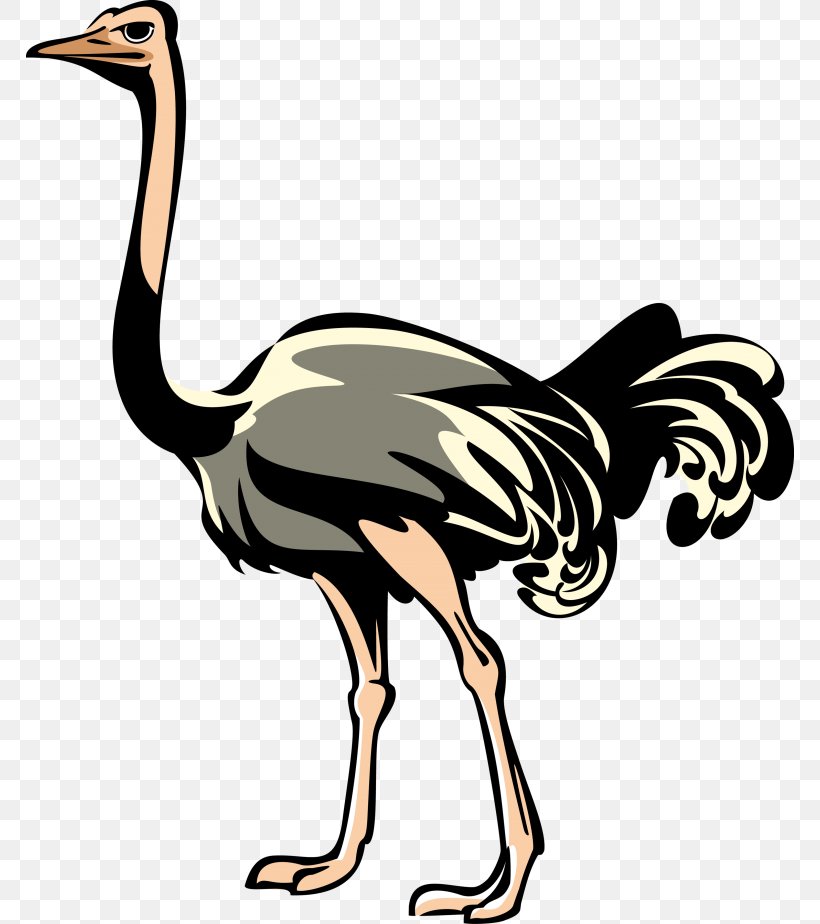 Bird Clip Art Emu Image, PNG, 768x924px, Bird, Artwork, Beak, Chicken, Common Ostrich Download Free