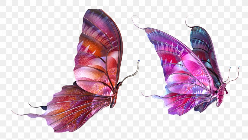 Butterfly Clip Art, PNG, 1908x1084px, Butterfly, Arthropod, Butterflies And Moths, Image File Formats, Insect Download Free