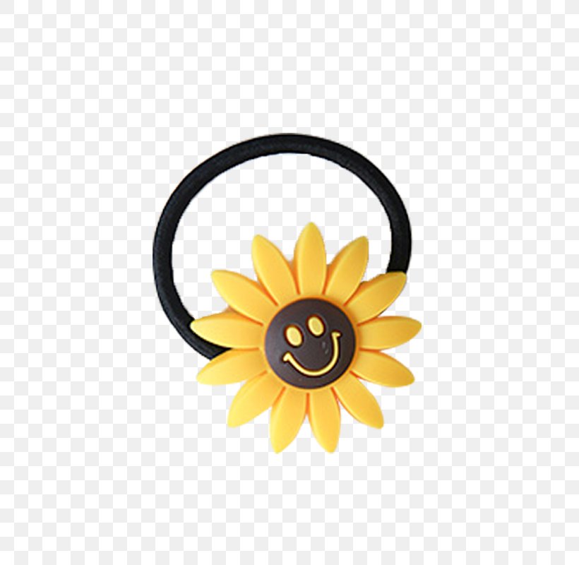 Common Sunflower Designer, PNG, 800x800px, Common Sunflower, Daisy Family, Designer, Flora, Flower Download Free