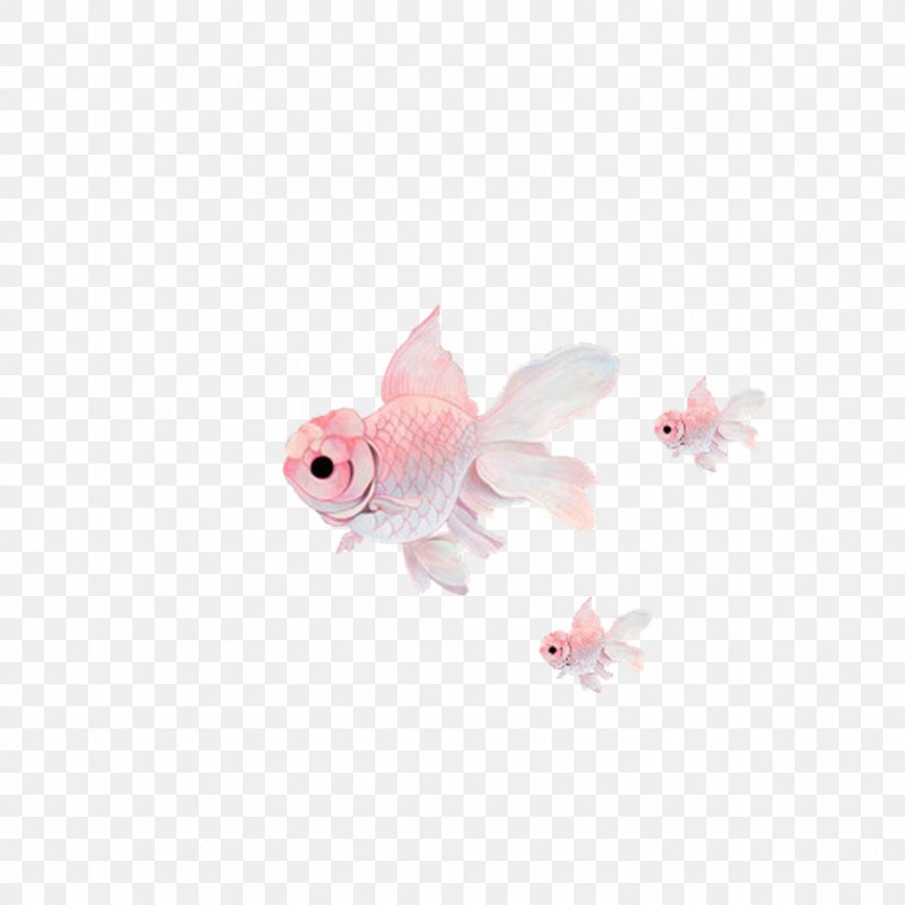 Oranda Fantail Ryukin Pearlscale Comet, PNG, 1024x1024px, Oranda, Animal, Art, Bony Fish, Comet Download Free