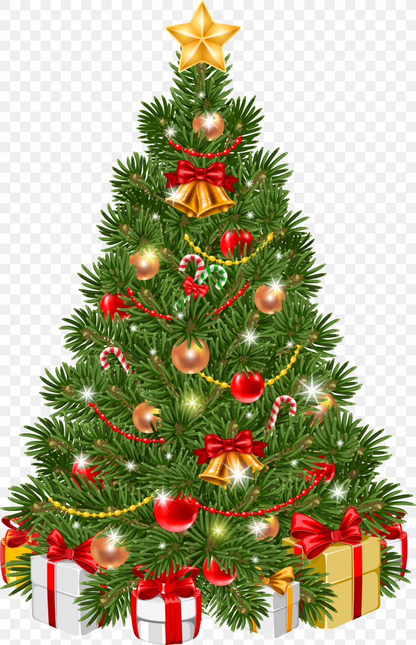 Christmas Tree Christmas Ornament Clip Art, PNG, 2000x3102px, Christmas ...