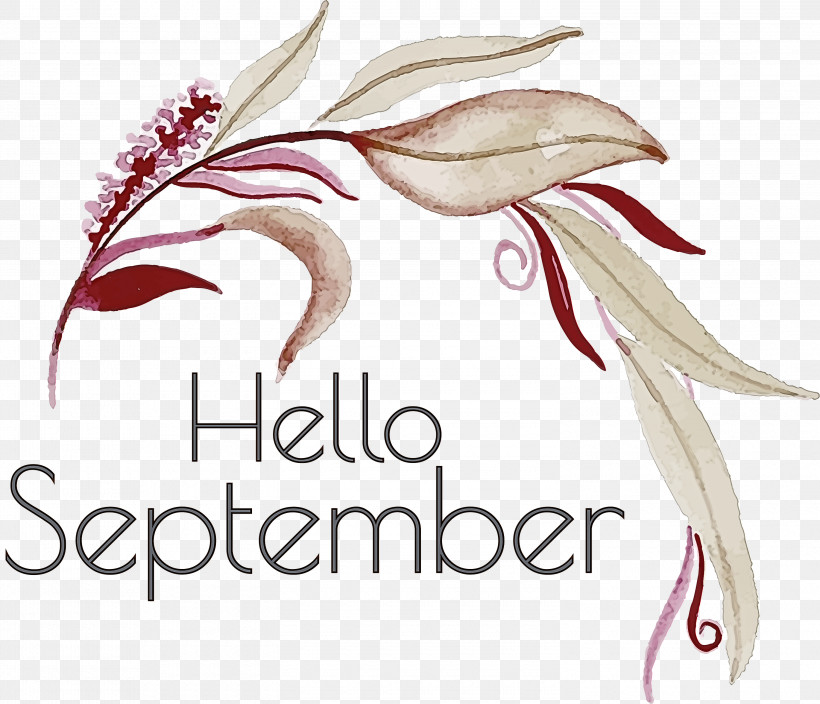 Hello September September, PNG, 3000x2576px, Hello September, Beautym, Chevrolet, Flower, Geometry Download Free