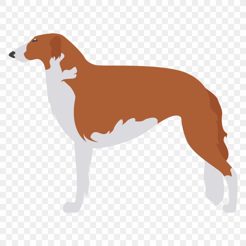 Italian Greyhound Spanish Greyhound Whippet Azawakh, PNG, 1000x1000px, Italian Greyhound, Animal Sports, Azawakh, Breed, Carnivoran Download Free