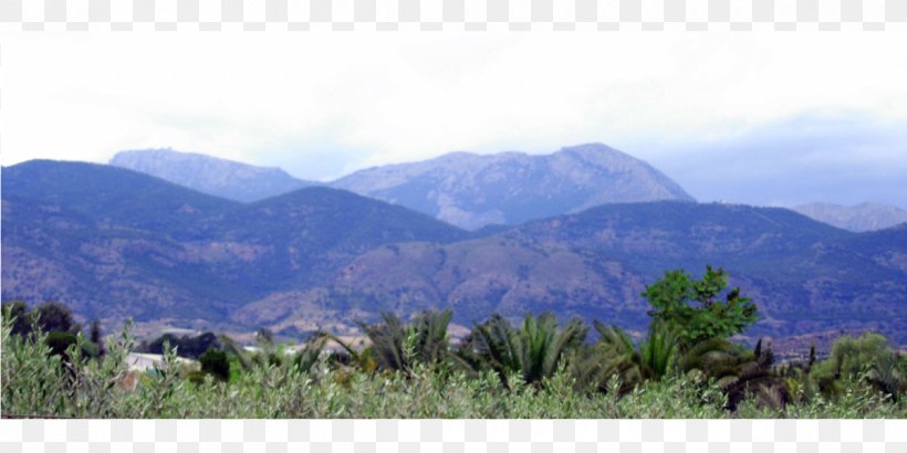Sierra Espuña Valle Del Guadalentín Terrain Yecla, PNG, 1200x600px, Terrain, Biome, Caravaca De La Cruz, Ecosystem, Escarpment Download Free