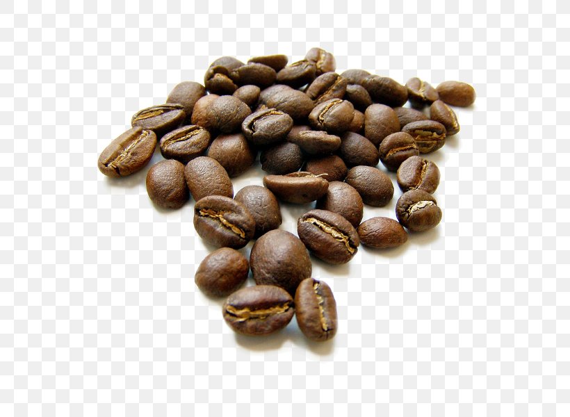 Iced Coffee Coffee Bean Coffee Roasting Tea, PNG, 600x600px, Coffee, Arabica Coffee, Bean, Caffeine, Cocoa Bean Download Free