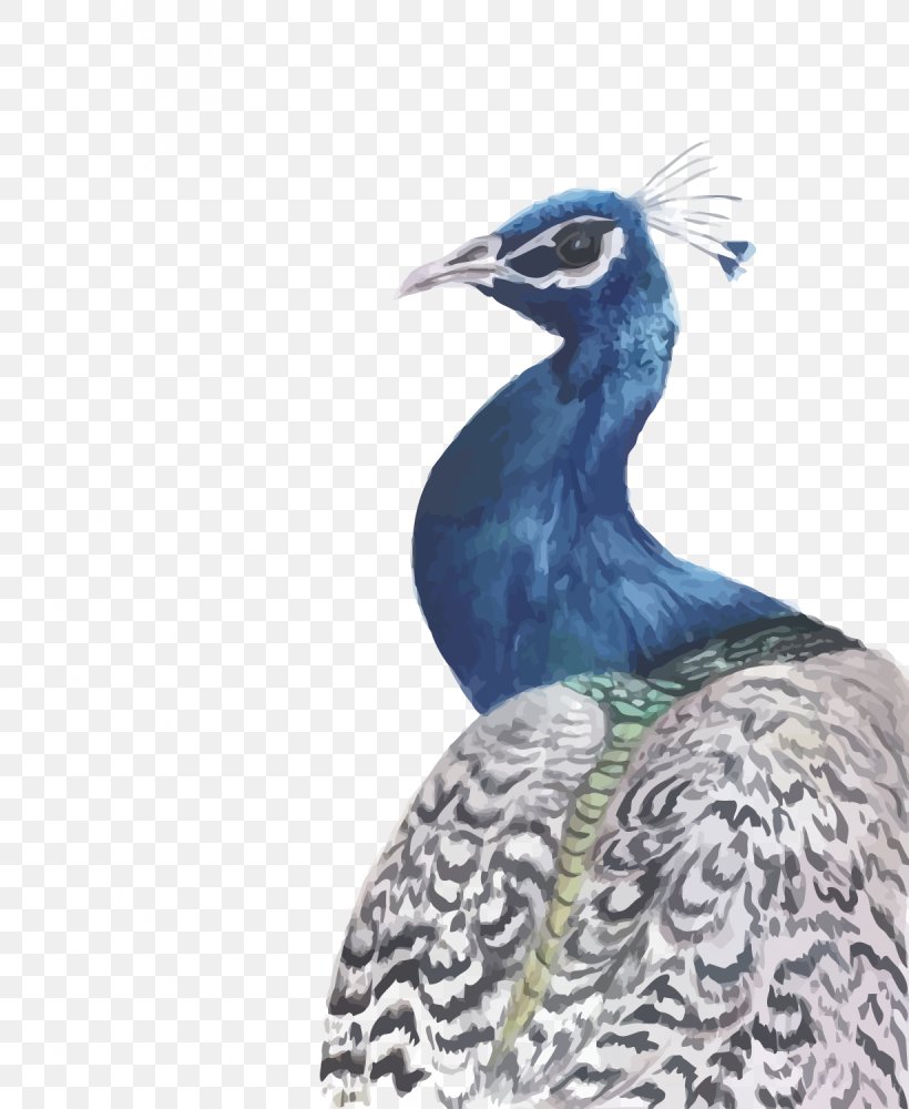 Peafowl Watercolour Flowers Watercolor: Flowers Watercolor Painting, PNG, 1230x1500px, Peafowl, Art, Asiatic Peafowl, Beak, Bird Download Free