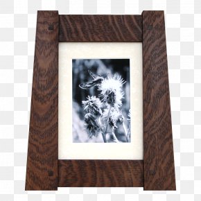 Solid Wood Craftsman - Picture Frames Wood /m/083vt Brown Rectangle PNG