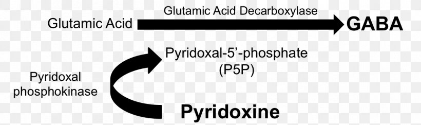 Pyridoxine Gamma-Aminobutyric Acid Pyridoxal Phosphate Vitamin B-6, PNG, 1257x374px, Watercolor, Cartoon, Flower, Frame, Heart Download Free