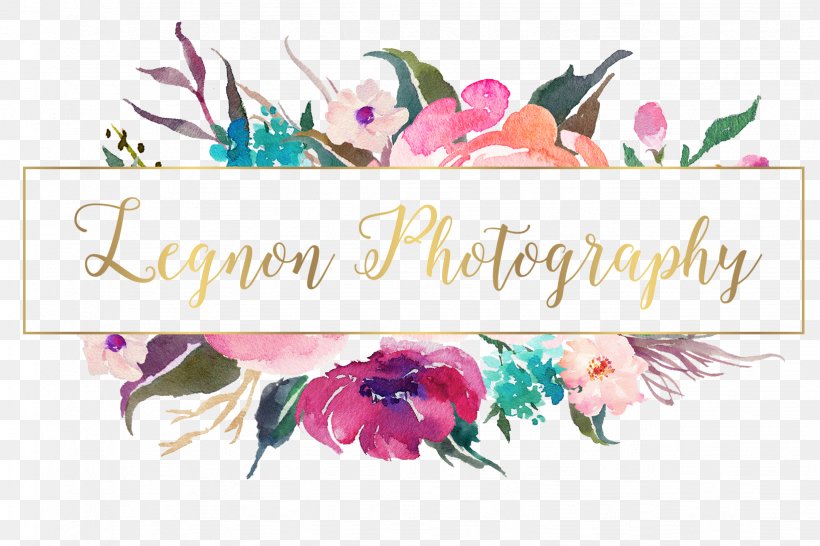 Watercolor Painting Floral Design Logo Photography, PNG, 1636x1091px, Watercolor Painting, Art, Brand, Calligraphy, Cut Flowers Download Free