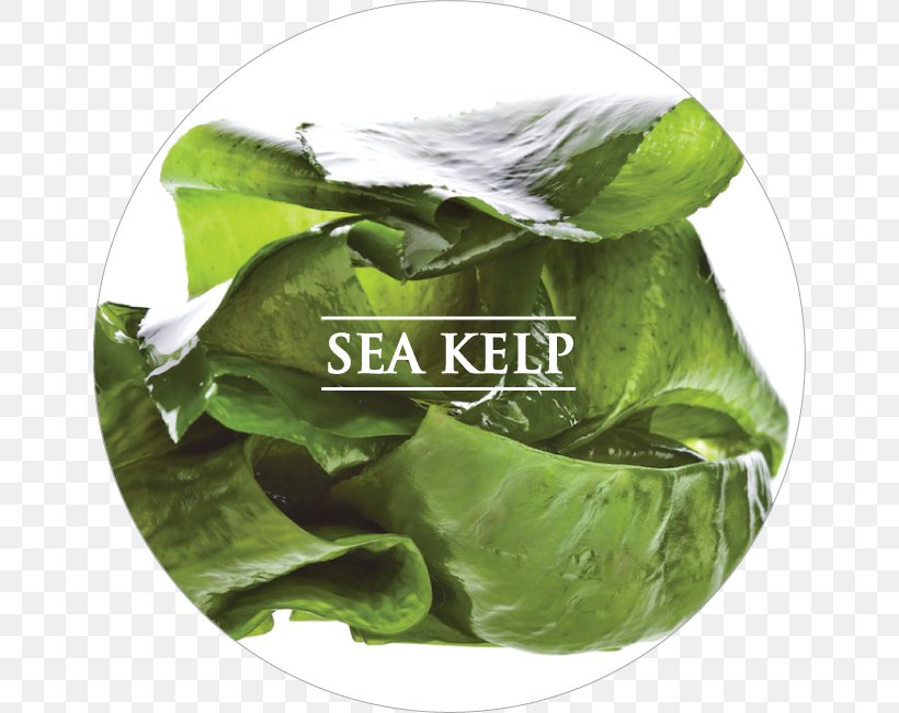 Algae Fuel Seaweed Docosahexaenoic Acid Omega-3 Fatty Acids Dietary Supplement, PNG, 651x650px, Algae Fuel, Algae, Capsule, Dietary Supplement, Docosahexaenoic Acid Download Free