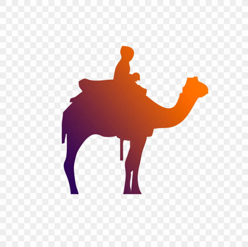 Camel Camelid Arabian Camel Silhouette Livestock, PNG, 857x856px, Camel, Arabian Camel, Bactrian Camel, Camelid, Landscape Download Free