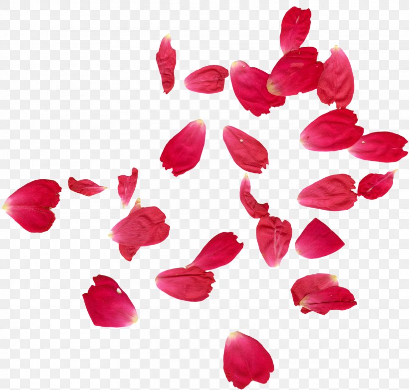 Faridabad Petal Rose Flower Henna, PNG, 1874x1790px, Faridabad, Color, Floristry, Flower, Green Download Free