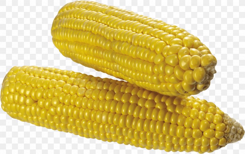 Maize Corn On The Cob, PNG, 3377x2121px, Corn On The Cob, Commodity, Corn Kernels, Corncob, Dent Corn Download Free