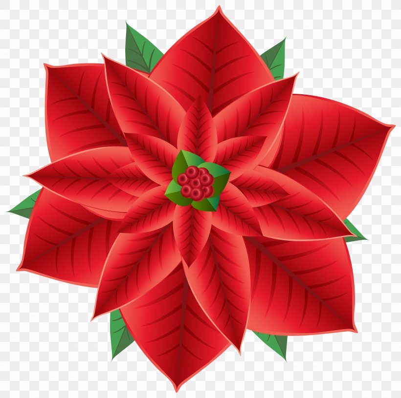 Poinsettia Christmas Flower Clip Art, PNG, 8000x7956px, Poinsettia, Art, Christmas, Christmas Decoration, Christmas Ornament Download Free