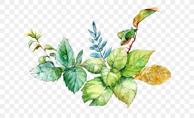 Watercolor Painting Download, PNG, 720x500px, Watercolor Painting, Branch, Coreldraw, Floral Design, Flower Download Free
