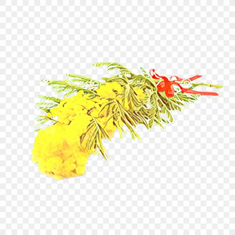 Yellow Flower Plant Goldenrod, PNG, 3000x3000px, Cartoon, Flower, Goldenrod, Plant, Yellow Download Free